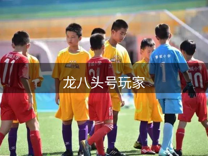 龙八头号玩家介绍